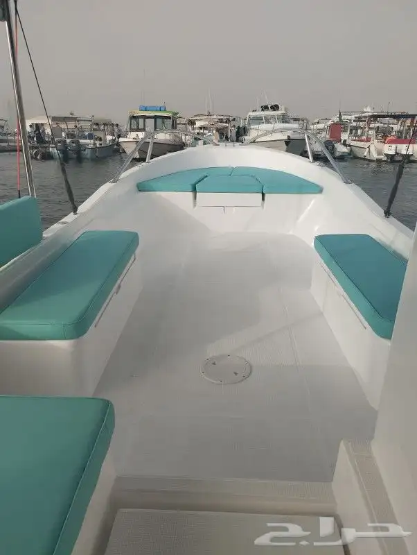 بياضه وصيد 6