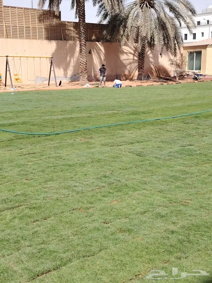 شبكات الري الأوتوماتيك والعادي 2