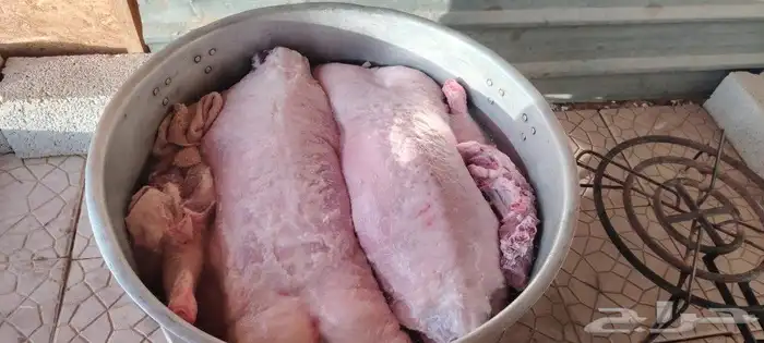 طباخ متنقل داخل وخارج الرياض جريش قرصان ايدمات قهوجي وصباب 8