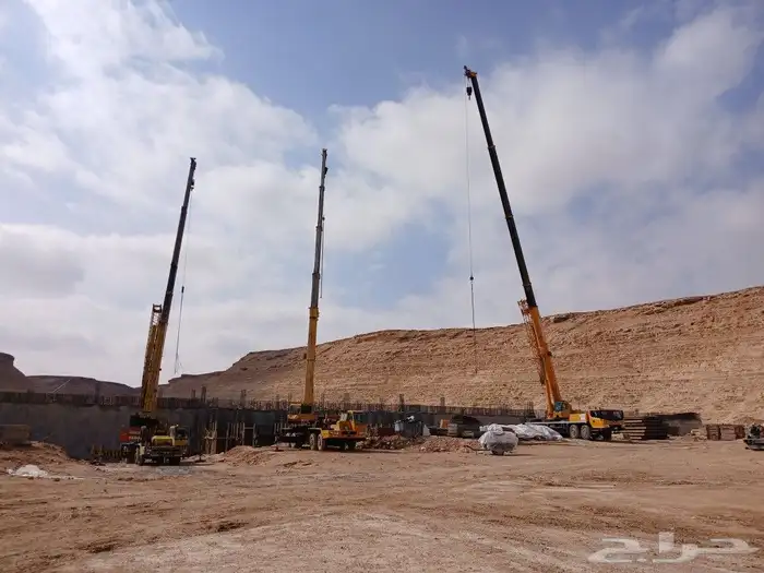 كرينات الإيجار 7