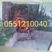 قرميد مشبات مشبات قرميد مشبات قرميد مشبات قرميد مشبات   قر 9