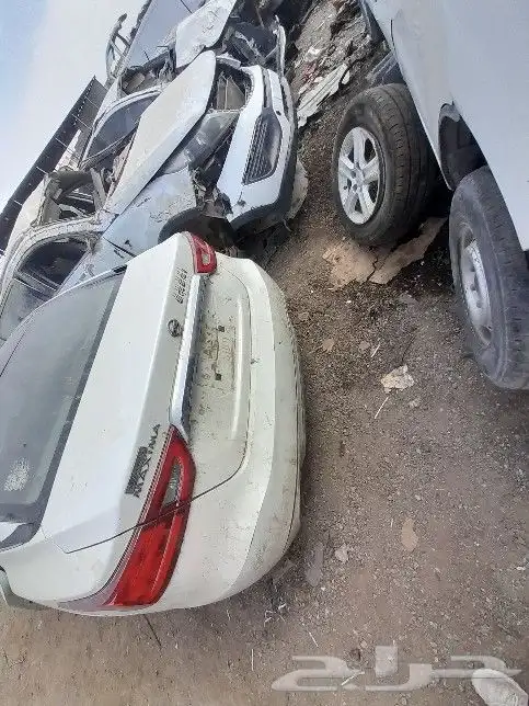نسيان التيما نيسان مكسيما 2010   2017 1