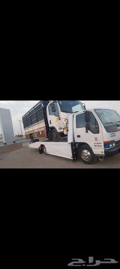 سطحه بيشه 5 9 1 7 7 6 7 5 5 0 7