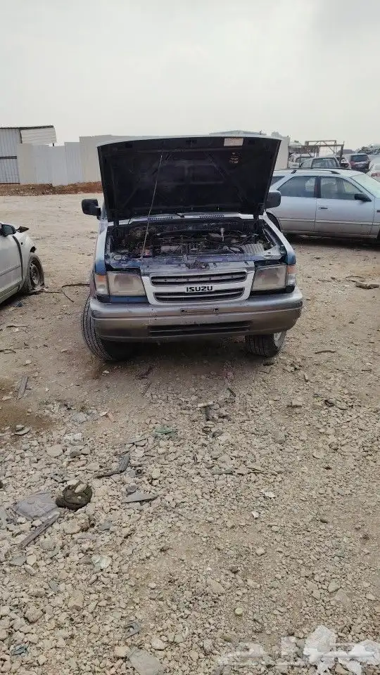 أيسوزو تزوير 1993 3