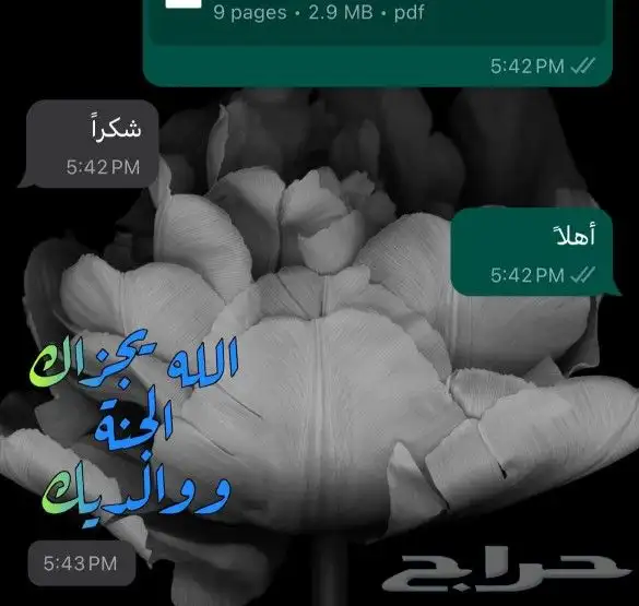 ترجمة معتمدة 7