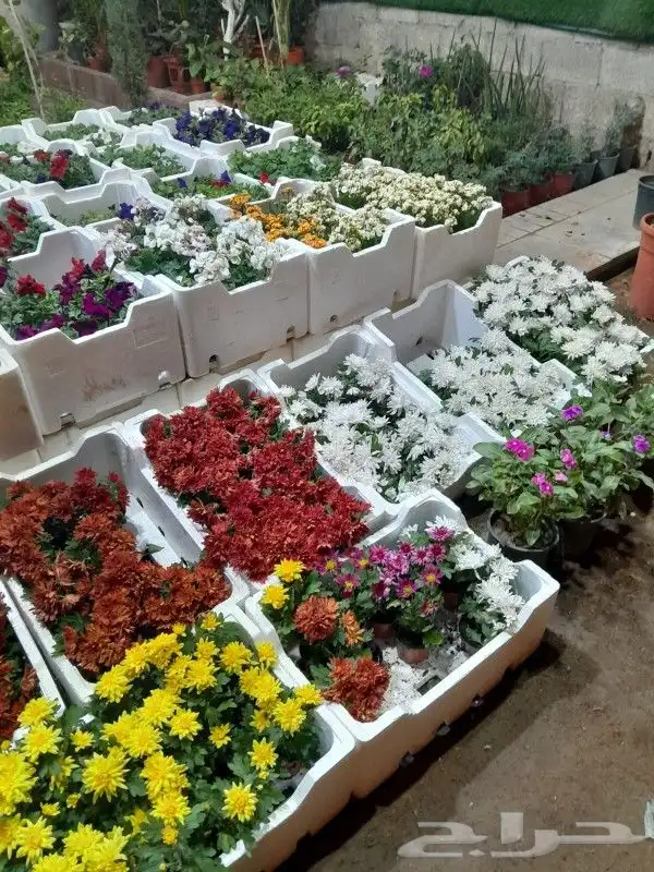 مشتل تنسيق حدائق 1