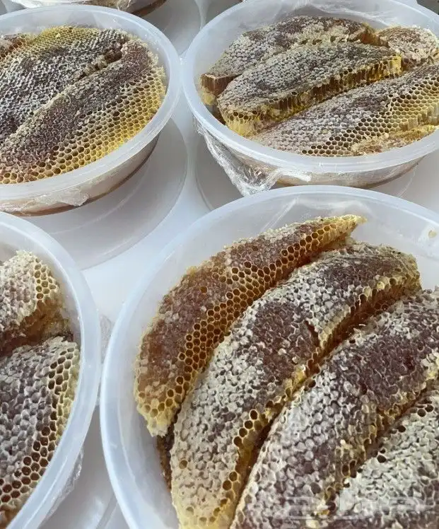 عسل ابو راكان 5