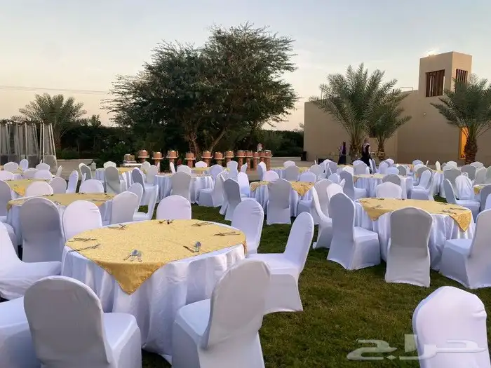 تأجير القهوجين وصبابين رجال ونساء كراسي طاولات ألعاب جلسات 5