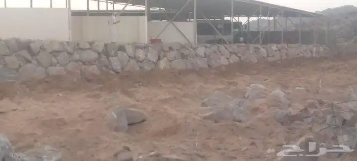 بكلين لبناء الحجر الطبيعي والهدم والترحيل 26