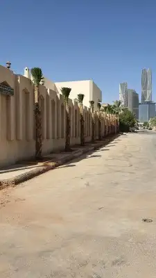نخل واشنطني 6