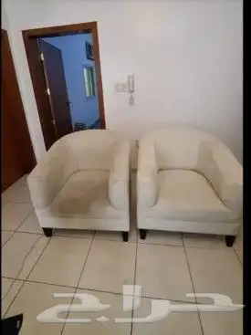 شركة تنظيف بتبوك كنب سجاد موكيت مجالس مكافحة حشرات للمنازل 3
