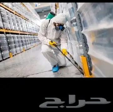 شركة تنظيف بتبوك كنب سجاد موكيت مجالس مكافحة حشرات للمنازل 4