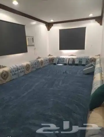 شركة تنظيف بتبوك كنب سجاد موكيت مجالس مكافحة حشرات للمنازل 5