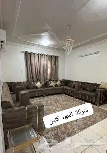 شركة تنظيف بتبوك كنب سجاد موكيت مجالس مكافحة حشرات للمنازل 6
