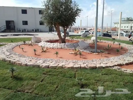 بكلين لبناء الحجر الطبيعي والهدم والترحيل 1