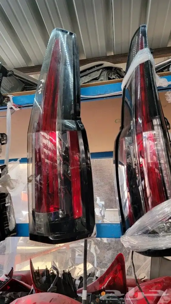 استطبات كدلك اسكليد 2015_2024 0