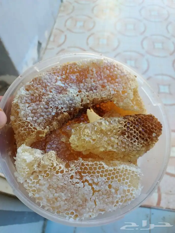 عسل سمره 1