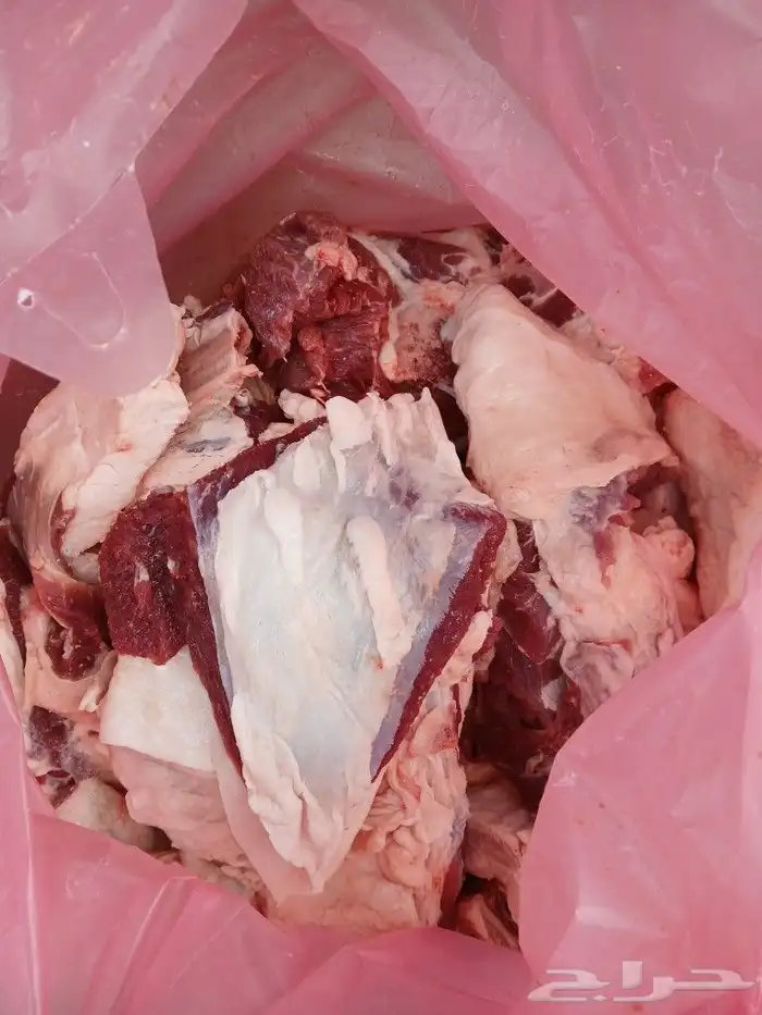 لحم حاشي طيب الكيلو ب55 ريال للحجز 0