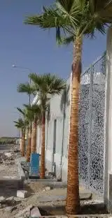 تنسيق حدائق الطائف 3
