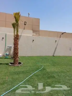 تنسيق زراعه الثيل الطبيعي وتركيب شبكات الري 1