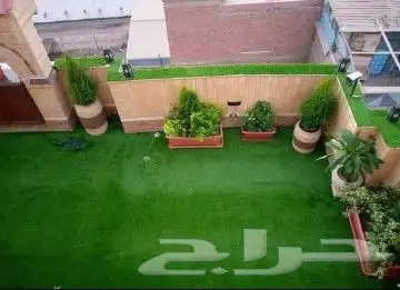 مشتل ربيع المملكة 3