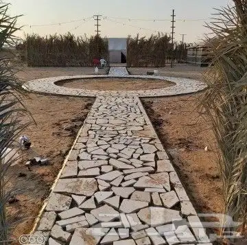 تنسيق زراعه الثيل الطبيعي وتركيب شبكات الري 8