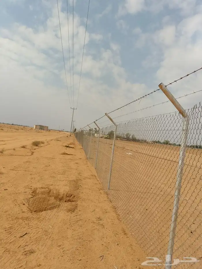 مقاول شبوك ونخيل 6