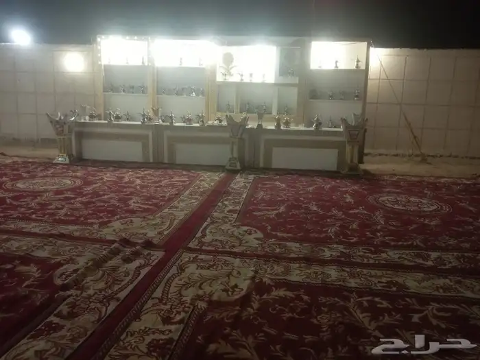 الدوادمي بيت شعر ابيض 7 في 15 8