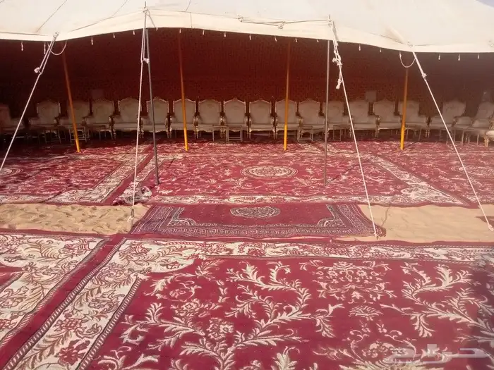 الدوادمي بيت شعر ابيض 7 في 15 7