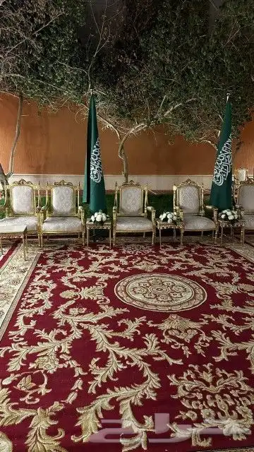 حفلات والمخيمات 4