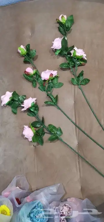 ورود زينه صناعيه 3