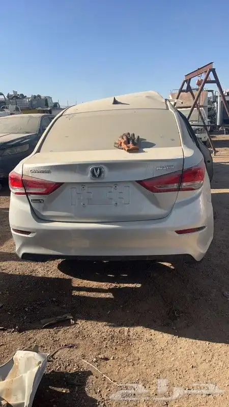شانجان 0