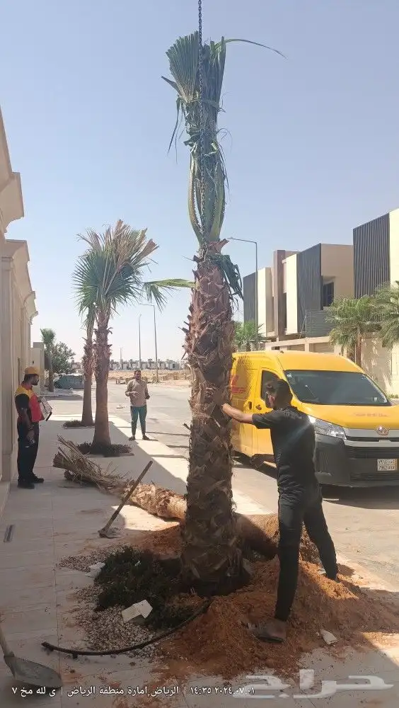 أعمال احواض زراعية وتركيب وتوريد ثيل طبيعي تصميم حديقة مودرن 6