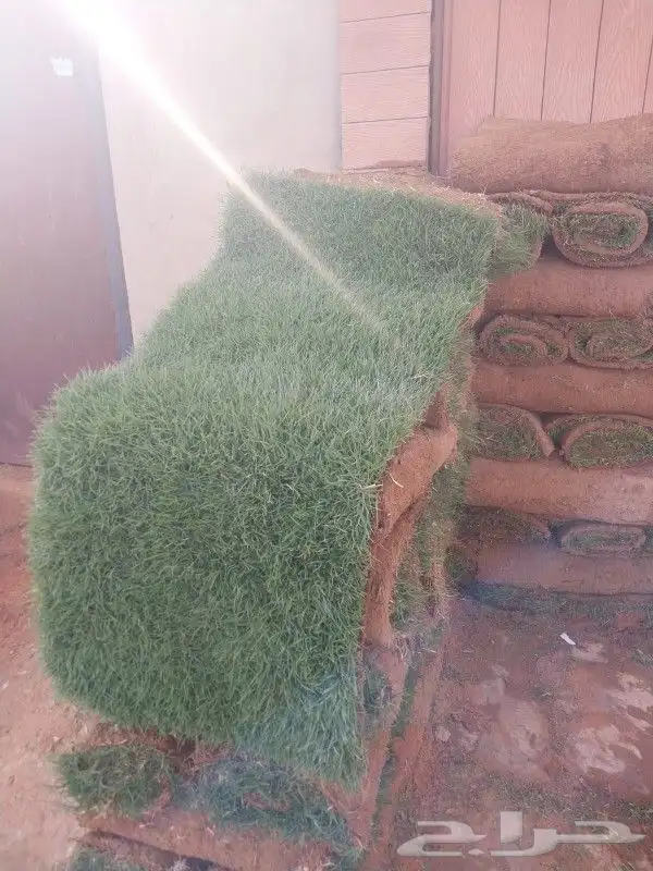 ثيل سي 2000 صافي وطبيعي درجة اوله يوجد تركيب وتوريد داخل الر 2