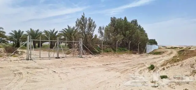 شبك مزارع بجمع أنواع المقاسات توريد وتركيب لتواصل ابو ياسمين 7