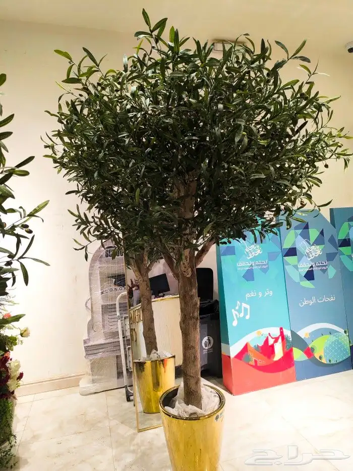 اشجار زيتون صناعي 9