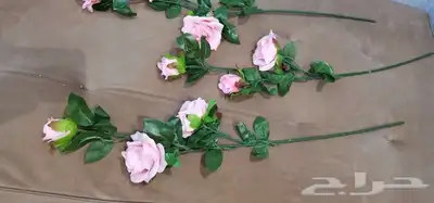ورود زينه صناعيه 2