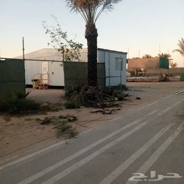 تكريب وتوريد وغرس النخل 0