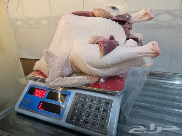 رومي ذبح بعد تأكيد الطلب 0