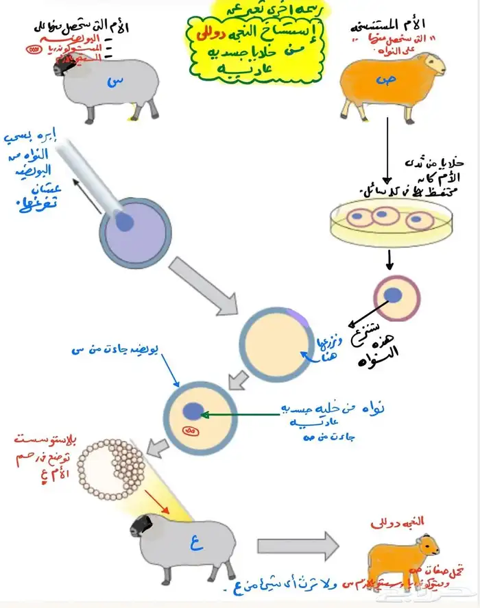 معلم تحصيلي احياء مرحلة ثانوية 3