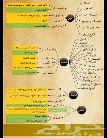 معلمة  معلمة خصوصيه  معلمة تأسيس  معلمة مصرية 1