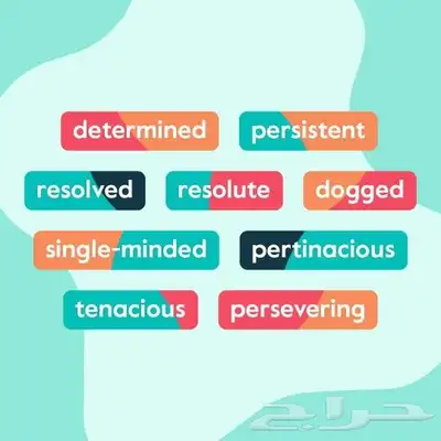 معلم إنجليزي معتمد ومتخصص 0