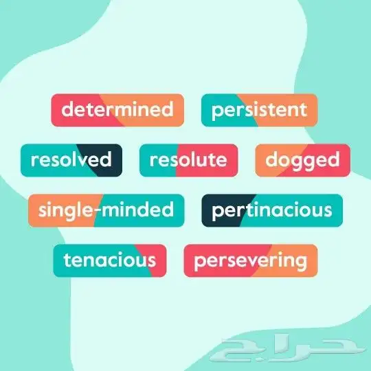 معلم إنجليزي معتمد ومتخصص 0