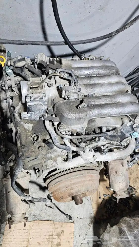 باثفندر 2005 18