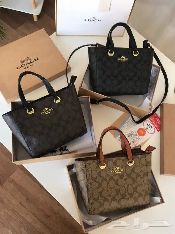 جملة وقطاعي 9