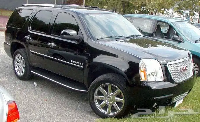 جنوط دينالي اصلي وكالة 2