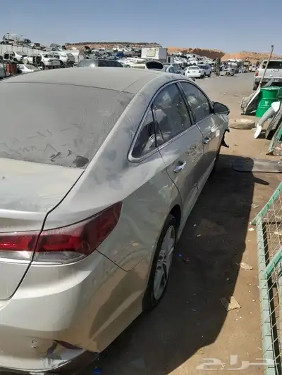 سوناتا 2019 بانورامه 2