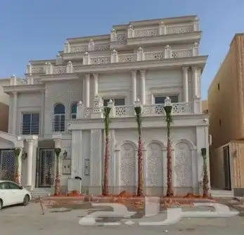 نخل واشنطوني زينه أمريكي 6