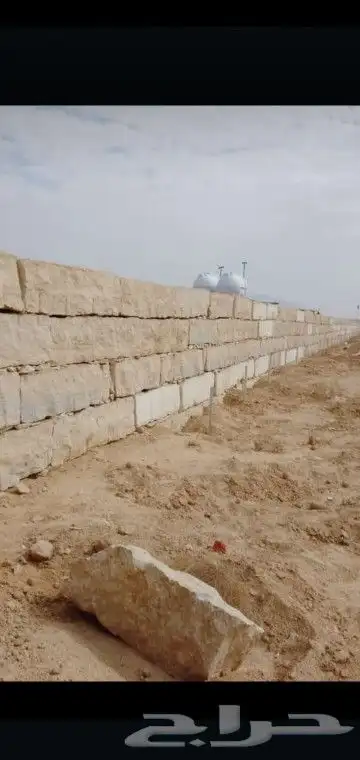 نخيل وزيتون وربراب 0