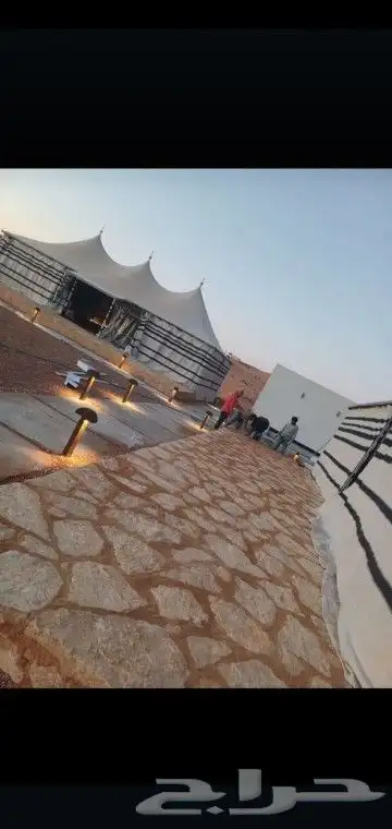 نخيل وزيتون وربراب 2